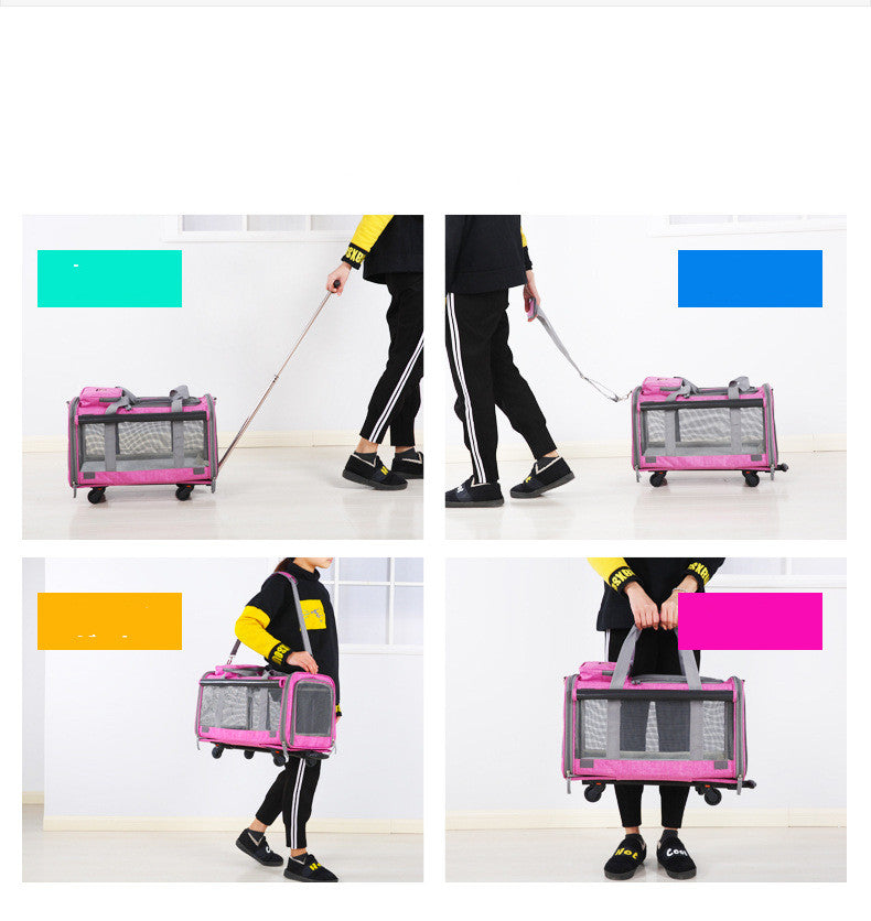Dog and Cat Bag