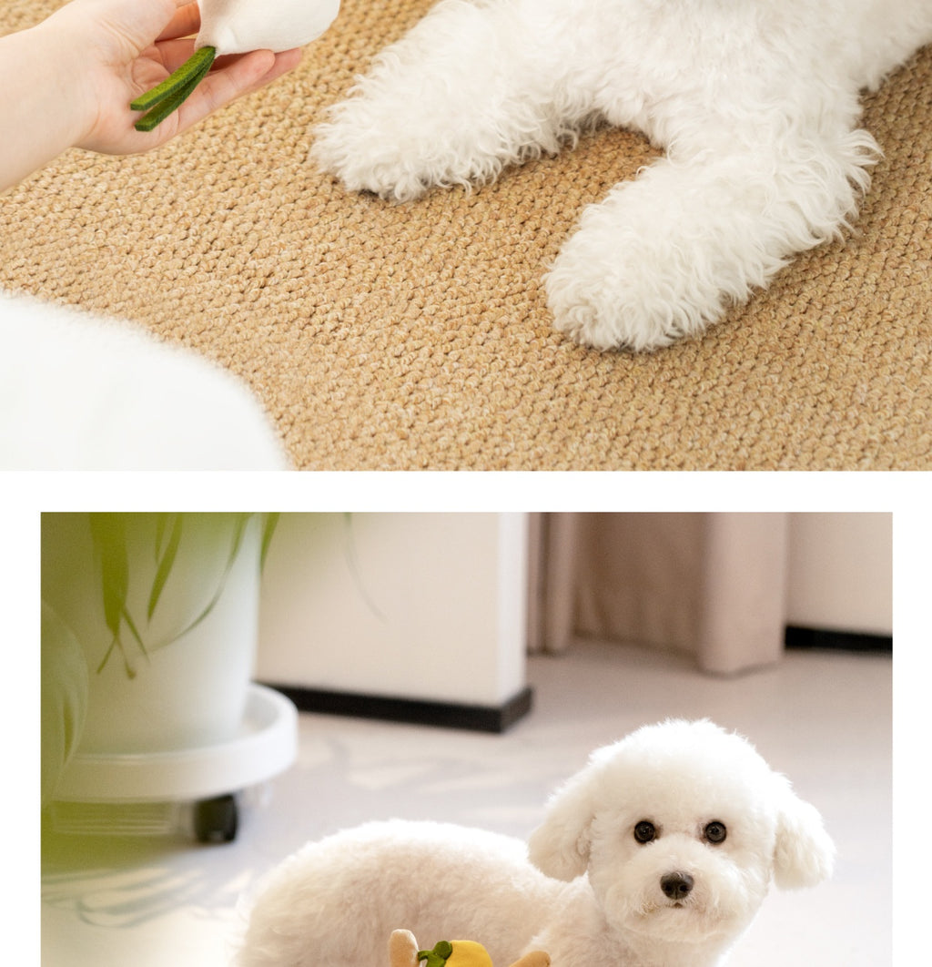 Hidden Food Toys