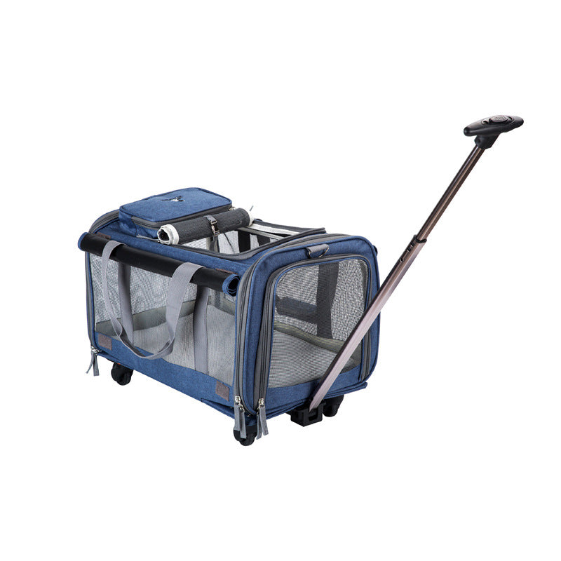 Dog and Cat Bag