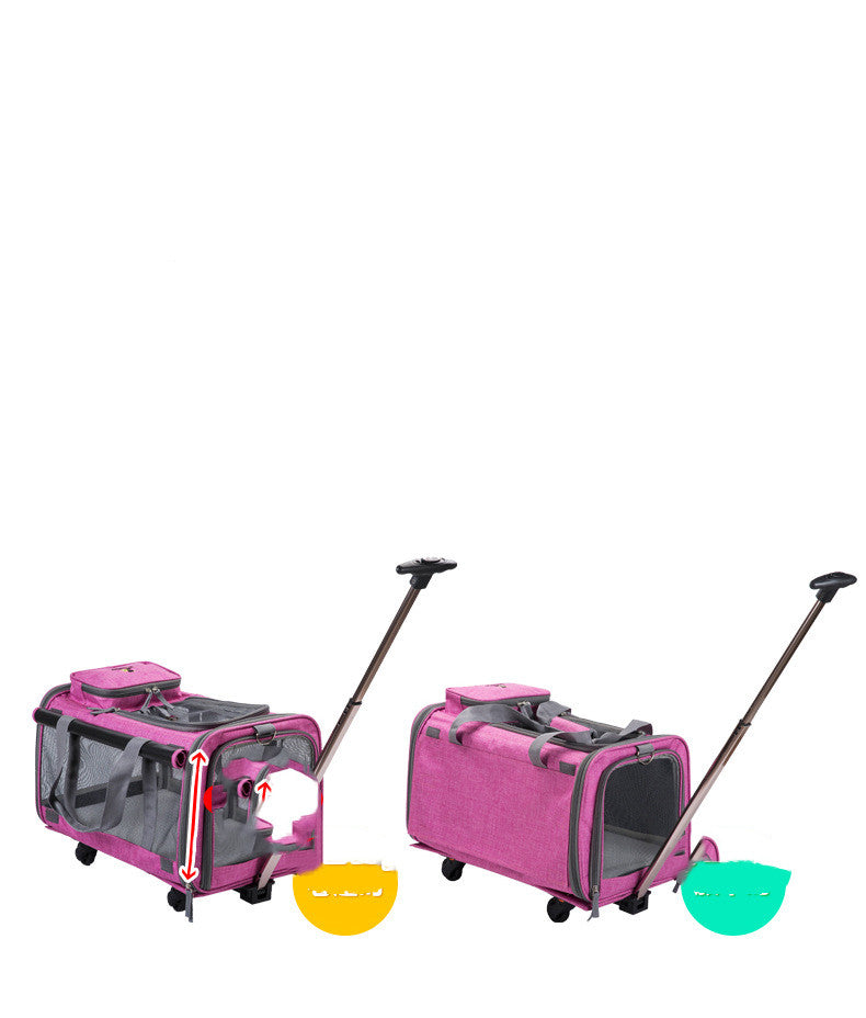 Dog and Cat Bag