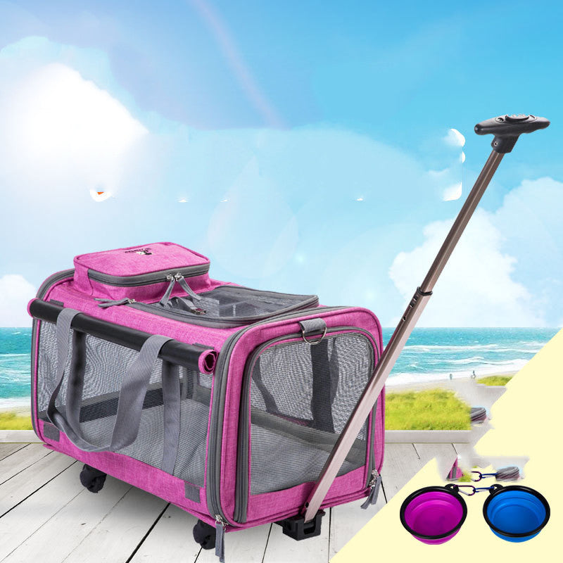 Dog and Cat Bag