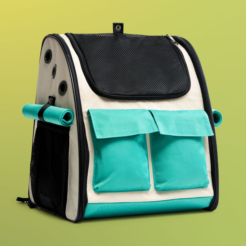 Takeaway Cat Bag
