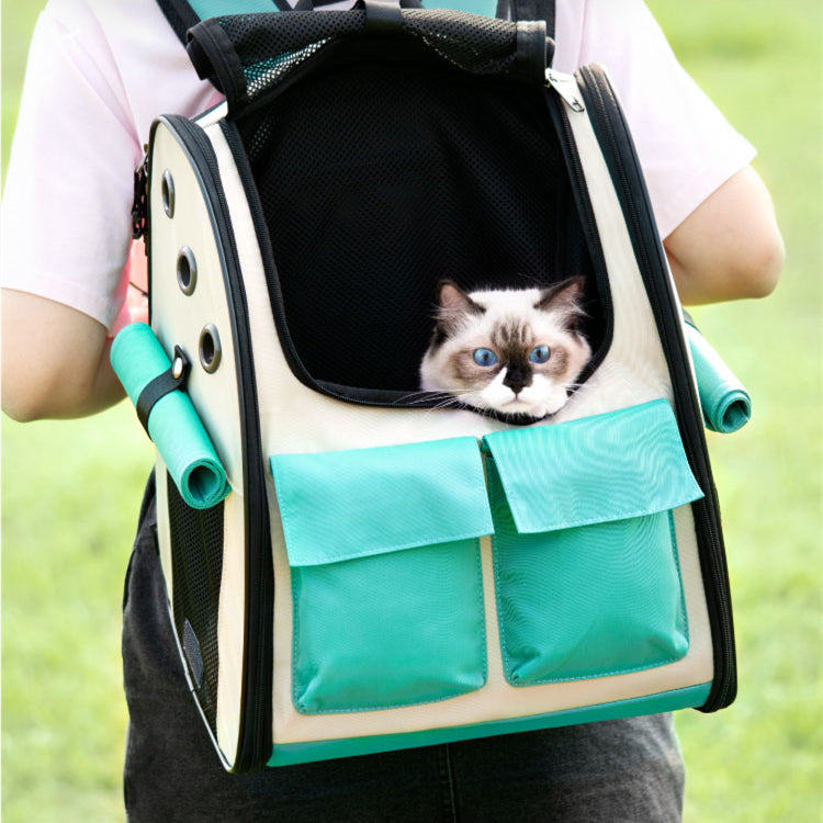 Takeaway Cat Bag