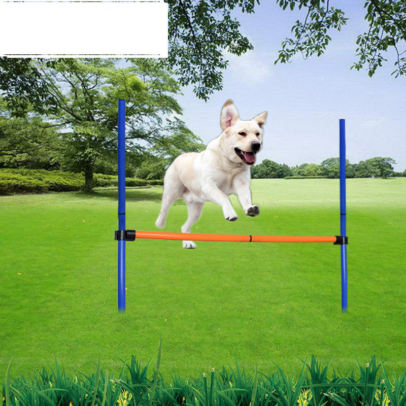 Dog Jumper