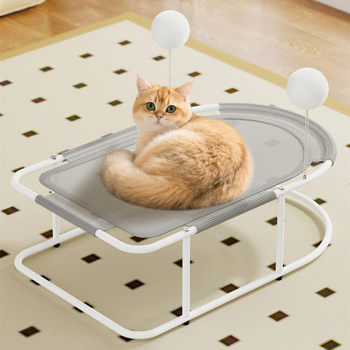 Cat Bed