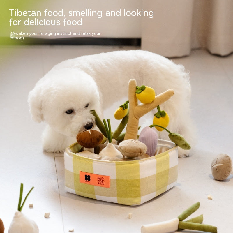Hidden Food Toys