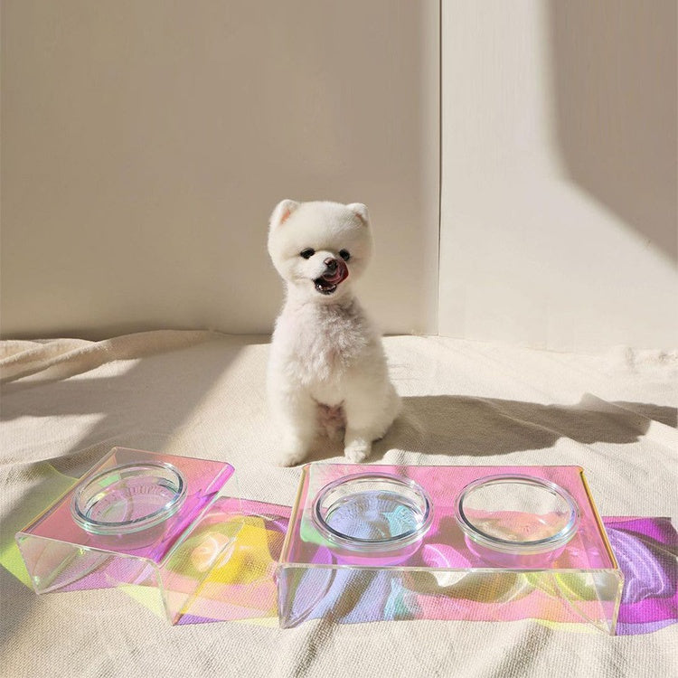 Dazzling Bowl