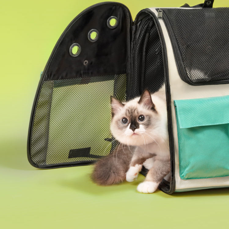 Takeaway Cat Bag